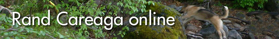 Abstrsctions by PVII